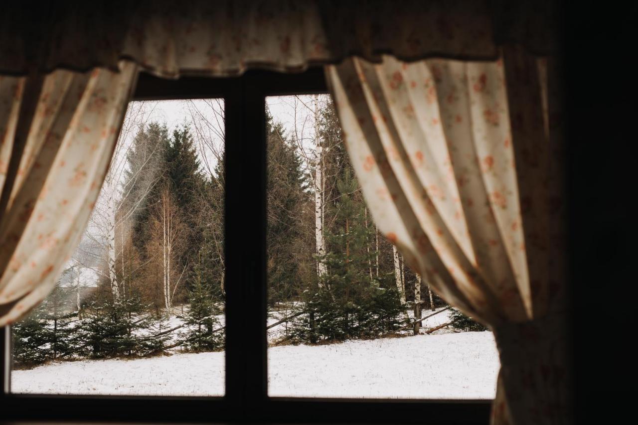 Hanna'S Hidden Haven Харгита-Бэй Экстерьер фото